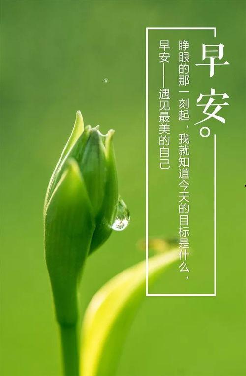 今日吃瓜爆料正能量图片高清,高清美图传递美好瞬间