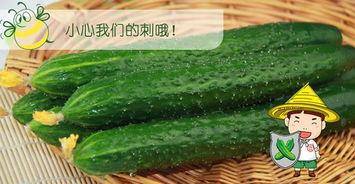 最好看的爆料吃瓜,年度最惊艳瓜料大揭秘！